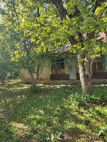 Срочно Нанайда Ҳовли уй сотилади, сулим баҳаво, салқин, тоғ бағрида, д