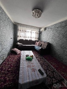 Samarqand shahrida Sagdianada ijaraga qizlar qo'yiladi