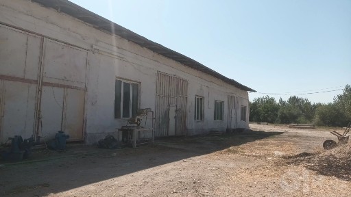 Арендага жой берамиз.