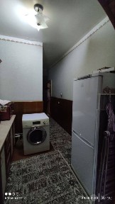 Qora qamish 2/4 Chimboyda 2/3/4