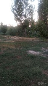 Ташкентская область, Ташкент, Мирзо-Улугбекский район
