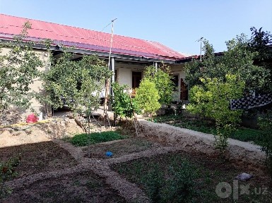 6 so'tiqli hovli