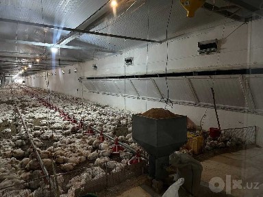 Parranda fabrikasi