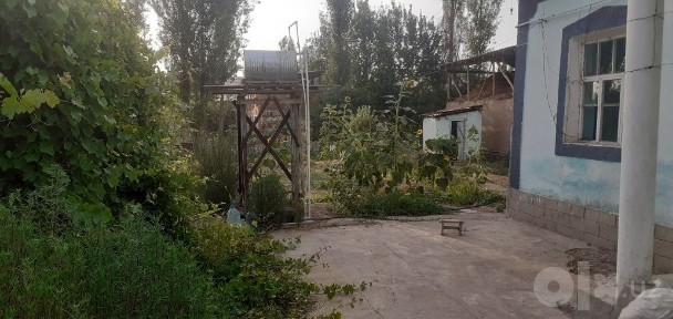 Hovli qorasuvga yaqin joyda Yangibozor bn CHirchiq platina oraligi