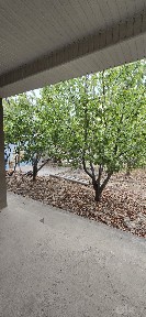 Кибрай 6сотх. 2хона.