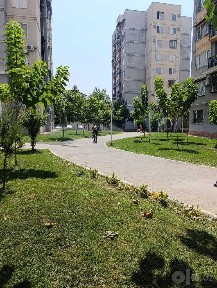 Ташкентская область, Ташкент, Шайхантахурский район