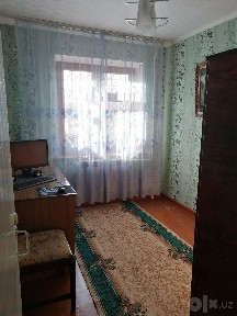 Аренда саракулька. американская школа. парк фуркат.