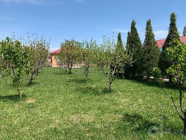 Отличная красивая дача 40 соток кристально чистый воздух Бустанлык р-н