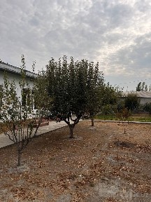 Jomboy Partsezda Katta qishloqda 10sotixli hovli sotuvda sotixi 5500