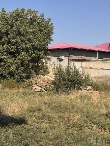 5 sutiq havli zamin narxashba Rajabanim