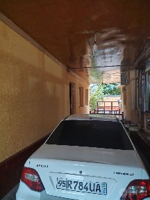 Жиззах шахар марказида горид