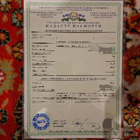 Продажа квартир в центре Ташкента