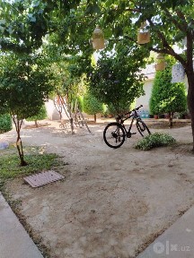 N9437 Shayxontohur tumani Tinchikik mahalla 3,7 sotix