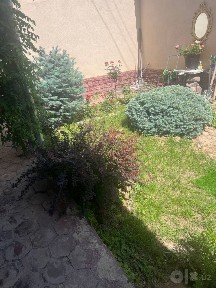 Сдаю в аренду частный дом