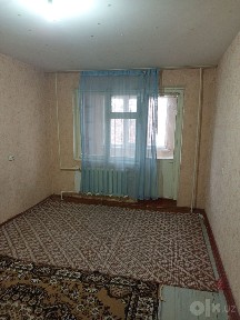 Тезда чинорда ижарага берилади