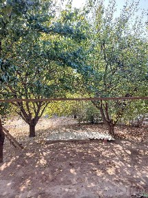 Срочно! Дом 6 комнат, 10 соток | Уртачирчик | 95 000 $