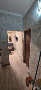 Аренда Зенит Альфарганус