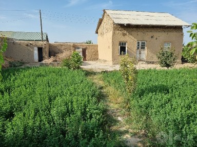 160 milon kumushkondan dacha sotiladi