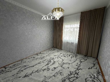 1 xonali 40 m2 2-qqvat #219x