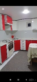 Talaba qizlar ijaraga qo'yiladi