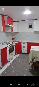 Talaba qizlar ijaraga qo'yiladi