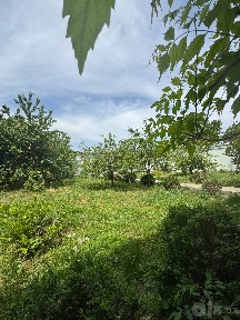 Продам дом 8 соток Учхоз, Мирзо-Улугбекский район.