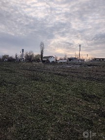 Тошкент вил, Бу́ка тумани Худойкул кишлогида уй сотилади