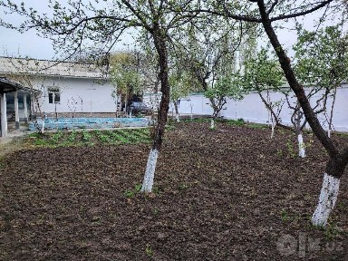 Дача Саид Ота 6 соток 3ком есть Автобус в Метро и Ипподром Срочно Свой