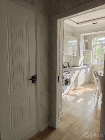 Сдается 1 комнатная куйлюк 2
