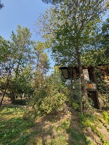 Участок Янги Узбекистан, 10 соток