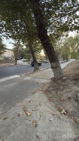 Uy sotiladi mirzo Ulugʻbek tumanida