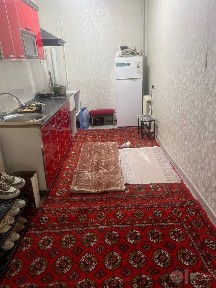Sheriklika qizlarga kvartira