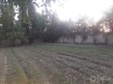 Uy 4 xonali hovli va boglari bor