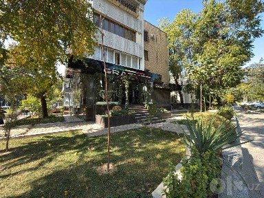 Нежилое помещение 216 м2, Мирзо-Улугбекский район