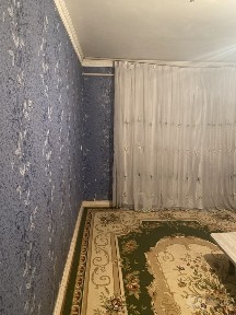1 qiz uchun Sheriklikka Uy ijara Qarshi shahardan