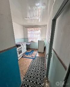 2honalik 4qavatda konechka, Ribojarka