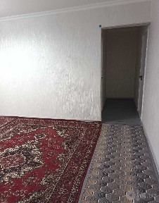 Sheriklikka qizlar olinadi faqat studentlar Jahon tillari