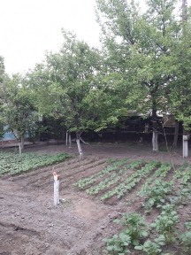 Ферганская область, Фергана