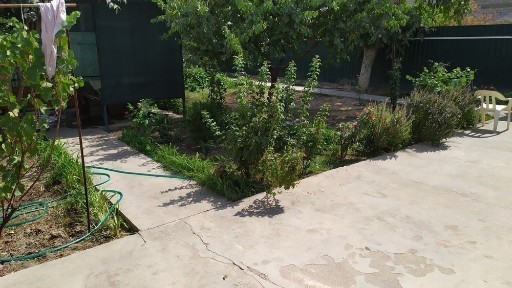 Ташкентская область, Ташкент, Бектемирский район