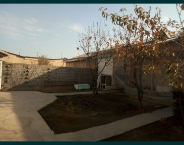 Ку́кча махалла. Уй углавой бурчакда жойлашган. Срочна сотилади.