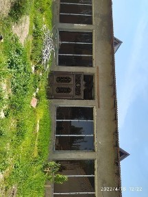 Ташкентская область, Зангиата