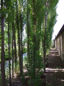 Ховли уй 21 сотик Хонобод шахри