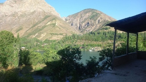 Dacha sotiladi. Дача сотилади.