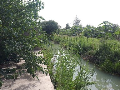 Ташкентская область, Ташкент, Бектемирский район