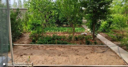 Ташкентская область, Ташкент, Шайхантахурский район