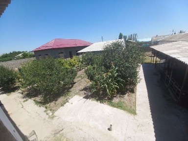 Ташкентская область, Ташкент, Бектемирский район