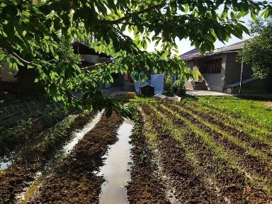 Продаётся Участок ЯнгиБазар Юкоричирчикский район