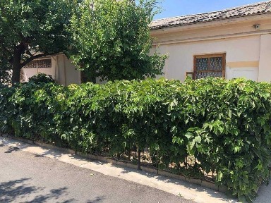 Участок возле гимнастики в юнусабаде