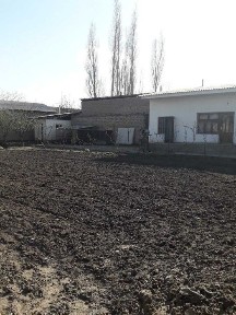 Ташкентская область, Ташкент, Бектемирский район