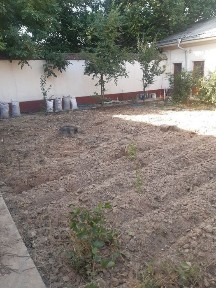 Ташкентская область, Ташкент, Мирабадский район